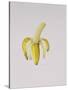 A Half-Peeled Banana, 1997-Alison Cooper-Stretched Canvas