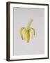 A Half-Peeled Banana, 1997-Alison Cooper-Framed Giclee Print