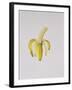 A Half-Peeled Banana, 1997-Alison Cooper-Framed Giclee Print