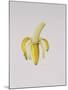 A Half-Peeled Banana, 1997-Alison Cooper-Mounted Giclee Print