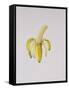 A Half-Peeled Banana, 1997-Alison Cooper-Framed Stretched Canvas