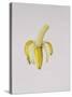 A Half-Peeled Banana, 1997-Alison Cooper-Stretched Canvas