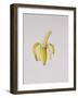 A Half-Peeled Banana, 1997-Alison Cooper-Framed Giclee Print