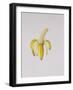 A Half-Peeled Banana, 1997-Alison Cooper-Framed Giclee Print