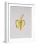 A Half-Peeled Banana, 1997-Alison Cooper-Framed Giclee Print