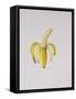 A Half-Peeled Banana, 1997-Alison Cooper-Framed Stretched Canvas