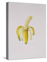 A Half-Peeled Banana, 1997-Alison Cooper-Stretched Canvas