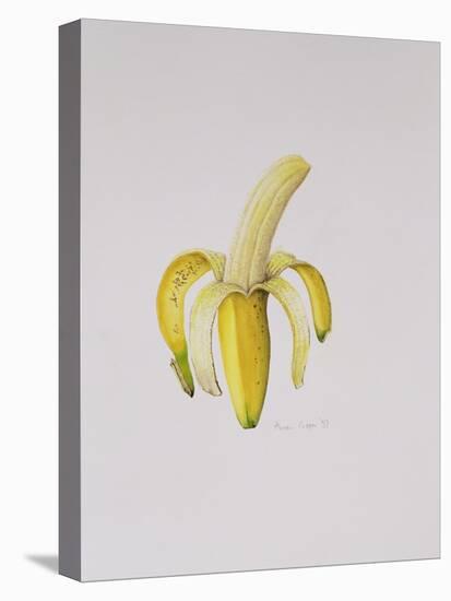 A Half-Peeled Banana, 1997-Alison Cooper-Stretched Canvas