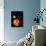 A Halloween Pumpkin with Moon and Stars in Background-Steven Morris-Photographic Print displayed on a wall