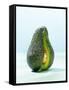 A Halved Avocado-Armin Zogbaum-Framed Stretched Canvas