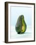 A Halved Avocado-Armin Zogbaum-Framed Photographic Print