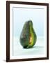 A Halved Avocado-Armin Zogbaum-Framed Photographic Print