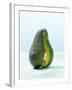 A Halved Avocado-Armin Zogbaum-Framed Photographic Print