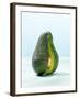 A Halved Avocado-Armin Zogbaum-Framed Photographic Print