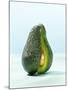 A Halved Avocado-Armin Zogbaum-Mounted Photographic Print