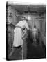 A Hammam in Paris, c.1900-French Photographer-Stretched Canvas