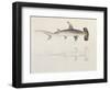 A Hammer-Headed Shark, Loheia, Formerly Attributed to James Bruce (1730-94)-Luigi Balugani-Framed Giclee Print