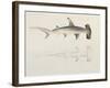 A Hammer-Headed Shark, Loheia, Formerly Attributed to James Bruce (1730-94)-Luigi Balugani-Framed Giclee Print