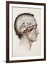 A Hand Coloured Lithograph of a Dissected Head in Profile Showing the Brain-Nicolas Henri Jacob-Framed Giclee Print