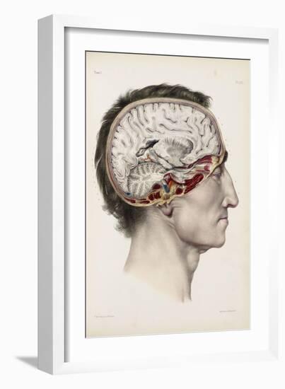 A Hand Coloured Lithograph of a Dissected Head in Profile Showing the Brain-Nicolas Henri Jacob-Framed Giclee Print