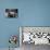 A Hand on a Teapot and Yerba Mate at Refugio Piltriquitron in the Andes of Patagonia, Argentina-Maureen Eversgerd-Photographic Print displayed on a wall