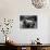 A Hand on a Teapot and Yerba Mate at Refugio Piltriquitron in the Andes of Patagonia, Argentina-Maureen Eversgerd-Photographic Print displayed on a wall