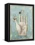 A Hand with Alchemical Symbols Against the Fingers, First Half of the 17th Century-null-Framed Stretched Canvas