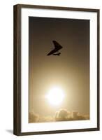 A Hang Glider Flies Above Blacks Beach Near the Torrey Pines Gliderport in San Diego, California-Brett Holman-Framed Photographic Print