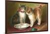 A Happy Birthday, Cats with Milk-null-Framed Art Print