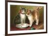 A Happy Birthday, Cats with Milk-null-Framed Art Print