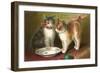 A Happy Birthday, Cats with Milk-null-Framed Art Print