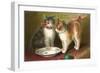 A Happy Birthday, Cats with Milk-null-Framed Art Print