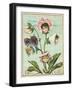 A Happy Christmas Postcard-null-Framed Giclee Print