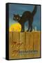 A Happy Halloween, Cat on Fence-null-Framed Stretched Canvas