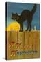 A Happy Halloween, Cat on Fence-null-Stretched Canvas