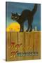 A Happy Halloween, Cat on Fence-null-Stretched Canvas