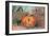 A Happy Halloween-null-Framed Art Print