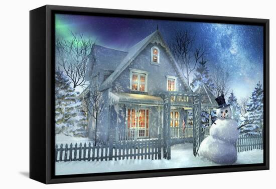 A Happy Snowman-Joel Christopher Payne-Framed Stretched Canvas