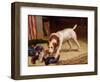 A Hard Act to Follow-Alfred Duke-Framed Giclee Print