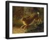 A Hare in a Landscape, 1882-Emma Mulvad-Framed Giclee Print