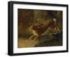 A Hare in a Landscape-Emma Mulvad-Framed Giclee Print