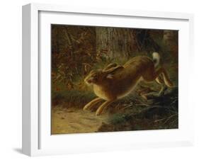 A Hare in a Landscape-Emma Mulvad-Framed Giclee Print