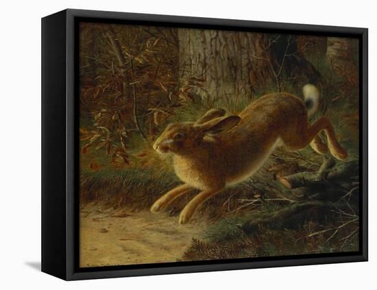 A Hare in a Landscape-Emma Mulvad-Framed Stretched Canvas