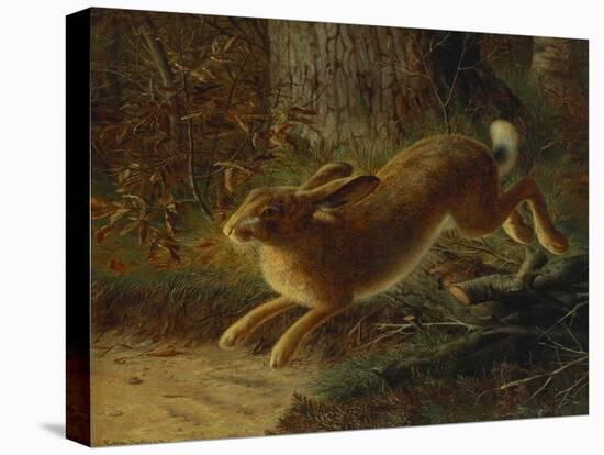 A Hare in a Landscape-Emma Mulvad-Stretched Canvas