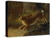 A Hare in a Landscape-Emma Mulvad-Stretched Canvas