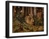 A Hare in the Forest, c. 1585-Hans Hoffmann-Framed Giclee Print