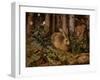 A Hare in the Forest, c. 1585-Hans Hoffmann-Framed Giclee Print