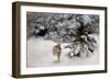 A Hare in the Snow, 1927-Bruno Andreas Liljefors-Framed Giclee Print