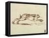 A Hare Running, with Ears Laid Back-James Seymour-Framed Stretched Canvas