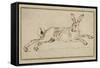 A Hare Running, with Ears Pricked (Pen and Ink on Paper)-James Seymour-Framed Stretched Canvas